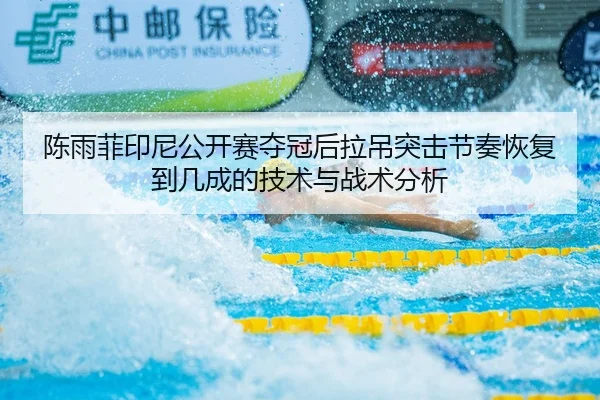 陈雨菲印尼公开赛夺冠后拉吊突击节奏恢复到几成的技术与战术分析