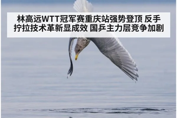林高远WTT冠军赛重庆站强势登顶 反手拧拉技术革新显成效 国乒主力层竞争加剧